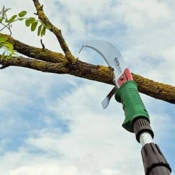 Boomzaag -Tuinonderhoud 12 1095