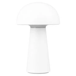 Ryobi Vervangende Borstel Hout RAC820