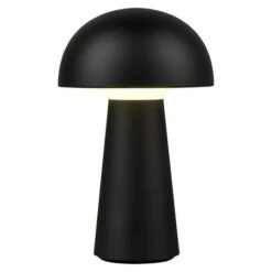 Ryobi Vervangende Borstel RAC814