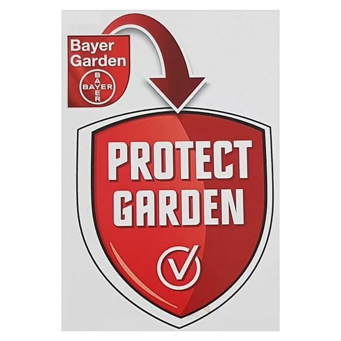 Schimmelspray Curalia Buxusschimmels 4 Schimmelspray Curalia Buxusschimmels - Image 2