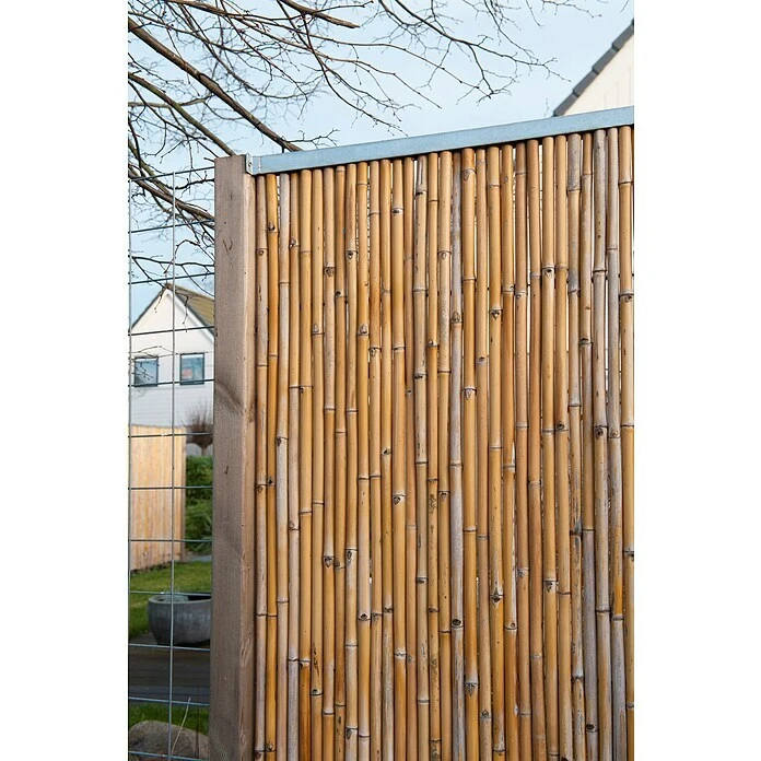 Nature H-profiel 5 Nature H-profiel - Image 3